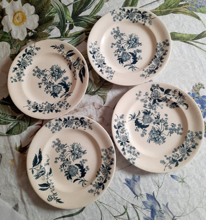 Lot de 4 assiettes plates – modèle YCHO