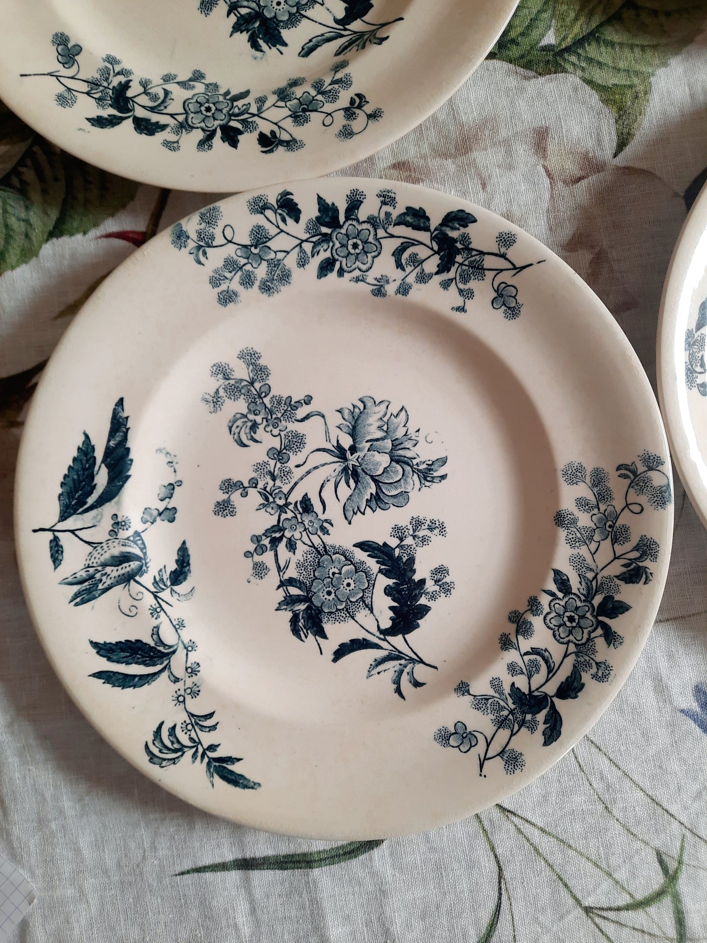 Lot de 4 assiettes plates – modèle YCHO