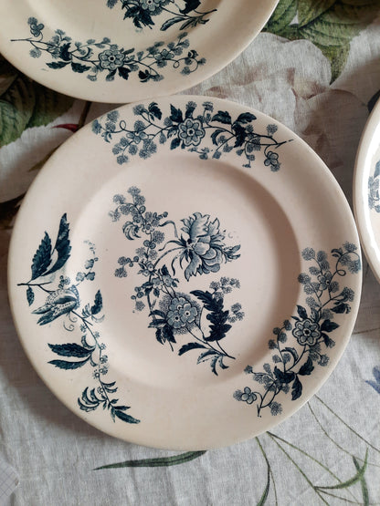Lot de 4 assiettes plates – modèle YCHO