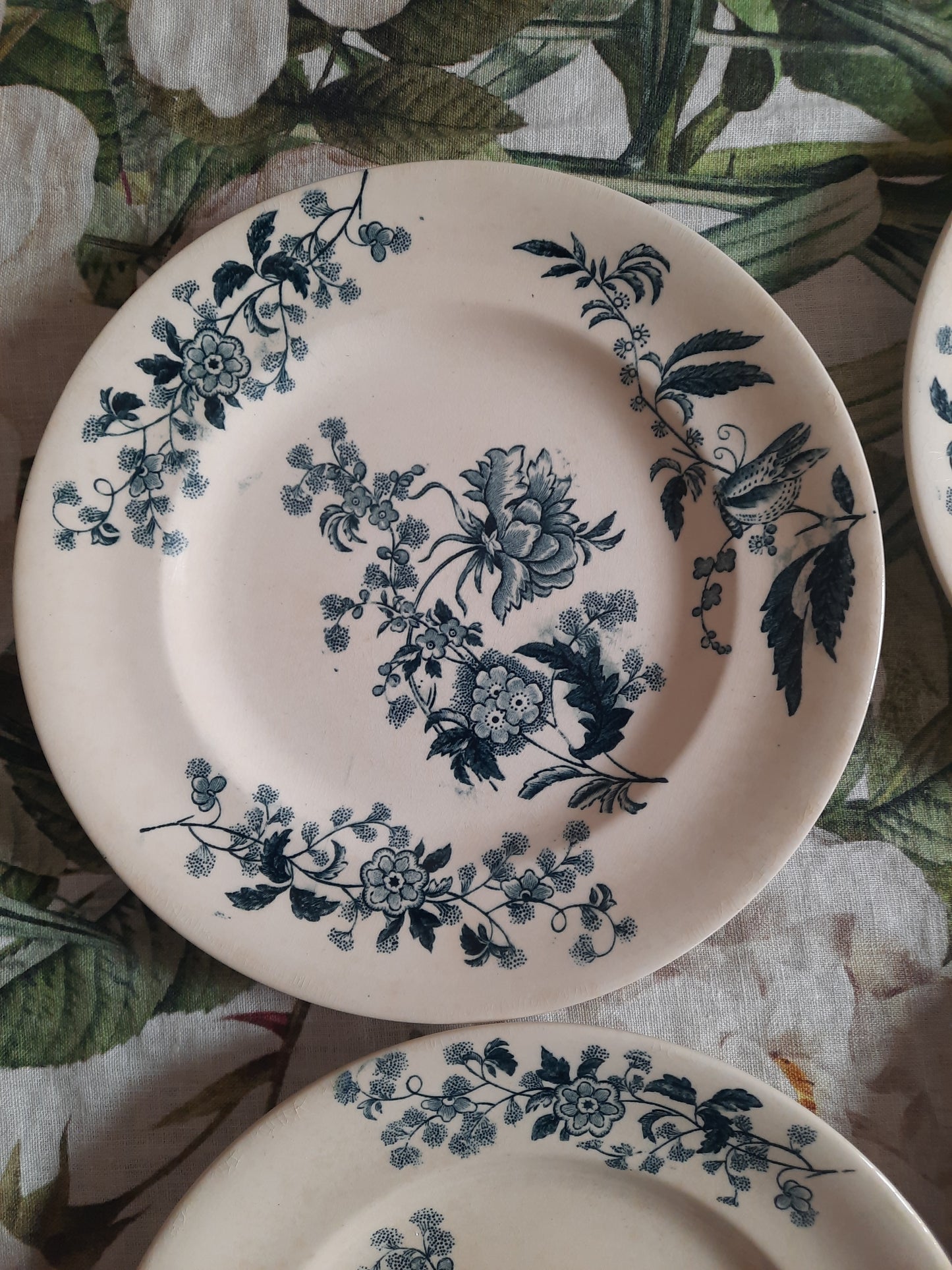 Lot de 4 assiettes plates – modèle YCHO
