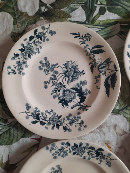 Lot de 4 assiettes plates – modèle YCHO