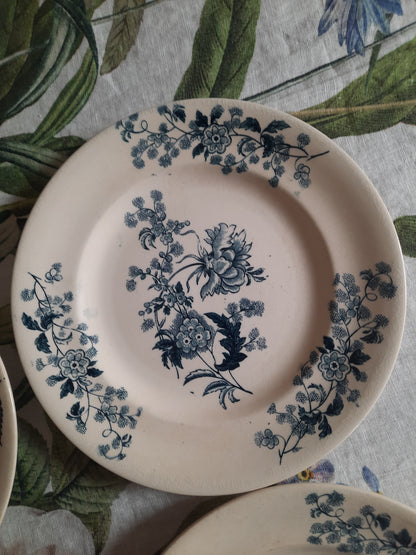 Lot de 4 assiettes plates – modèle YCHO