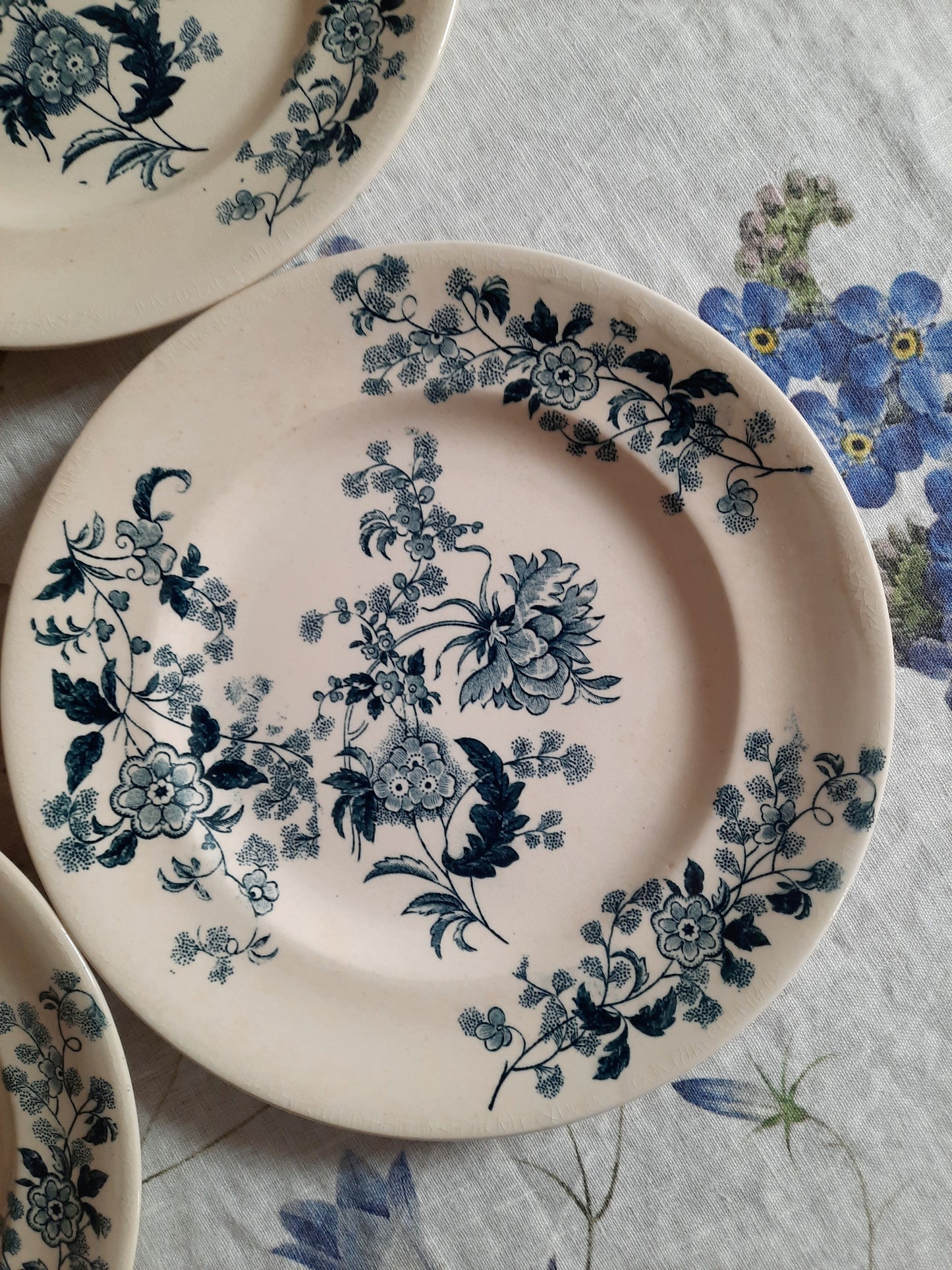 Lot de 4 assiettes plates – modèle YCHO