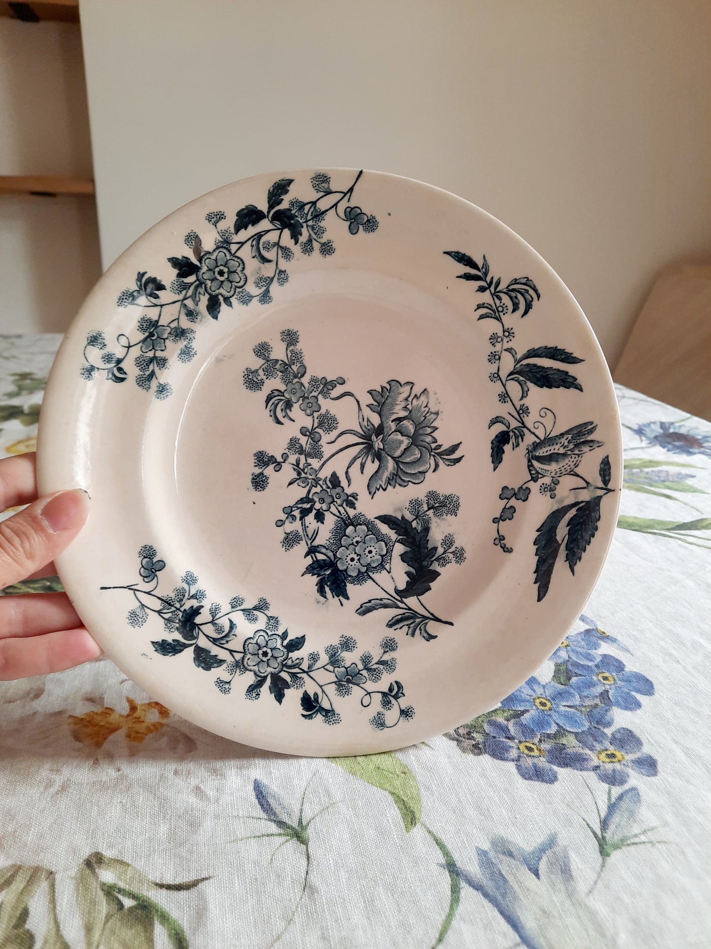 Lot de 4 assiettes plates – modèle YCHO