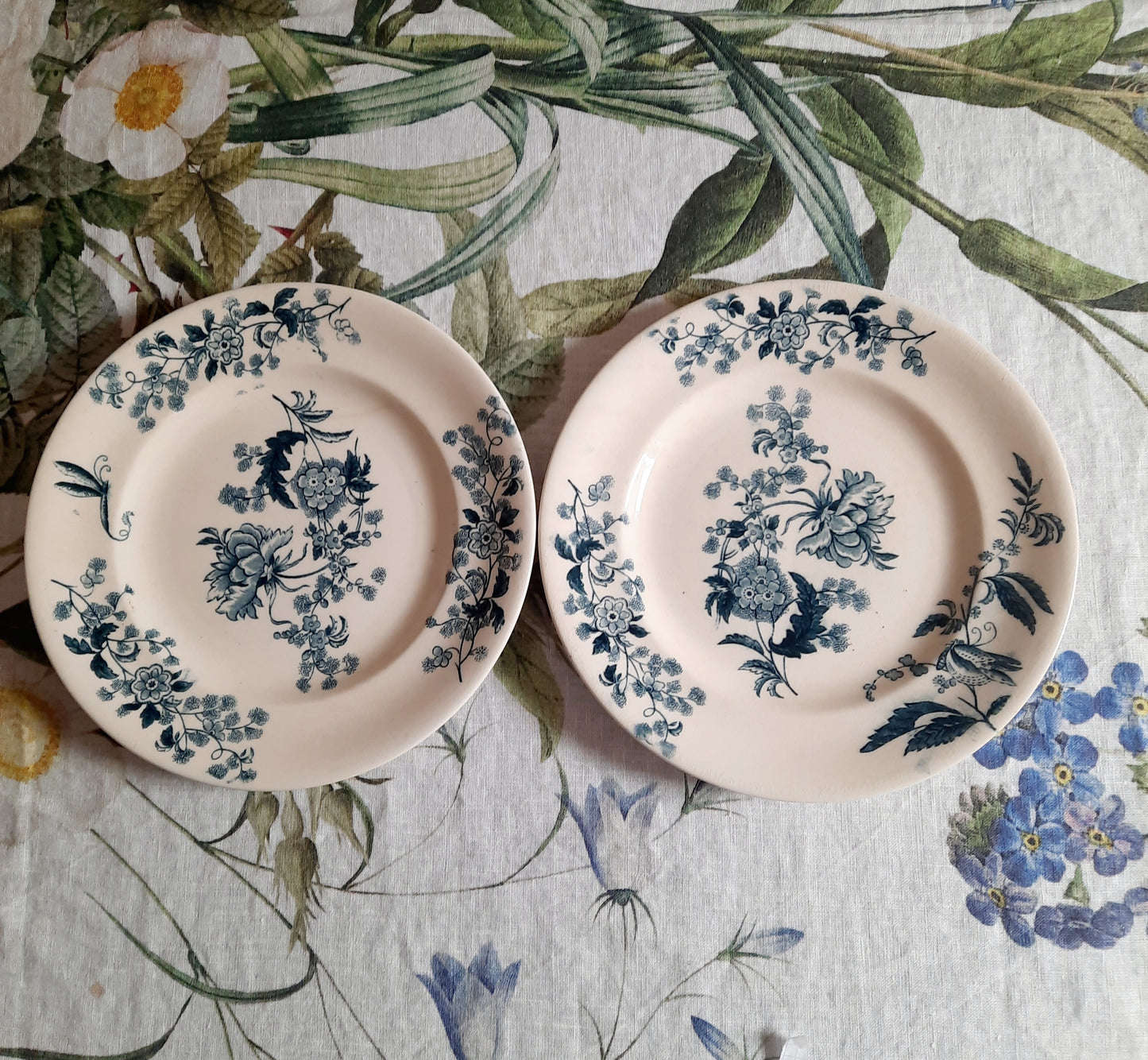 Lot de 2 assiettes plates – modèle YCHO