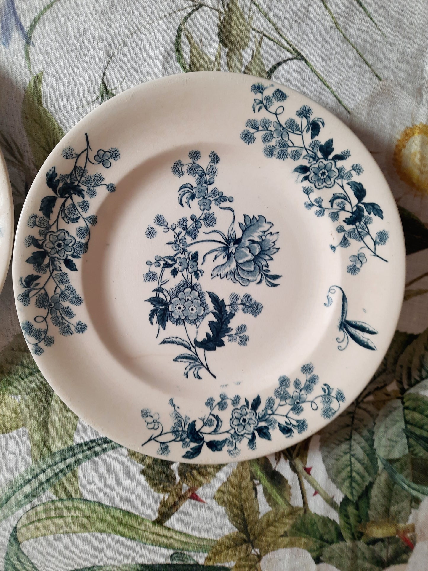 Lot de 2 assiettes plates – modèle YCHO