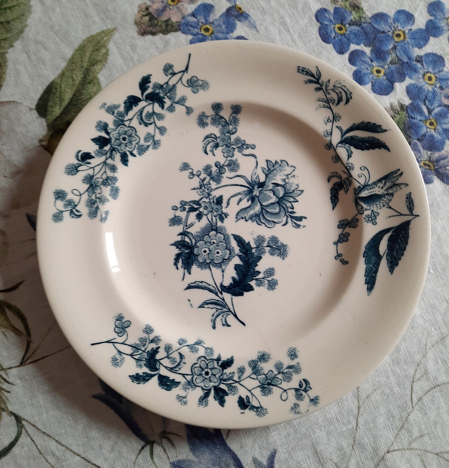 Assiette plate – modèle YCHO