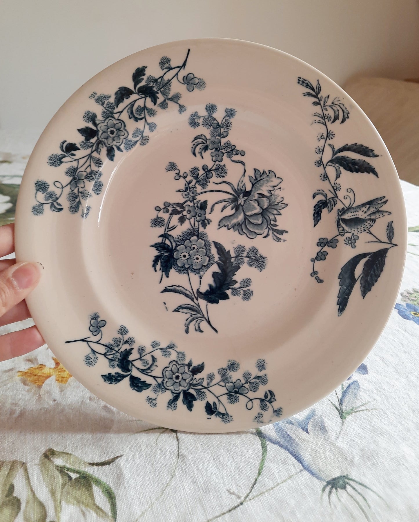 Assiette plate – modèle YCHO