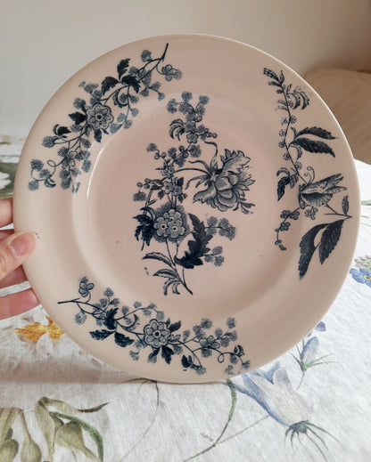 Assiette plate – modèle YCHO