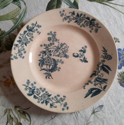 Plat rond – modèle YCHO