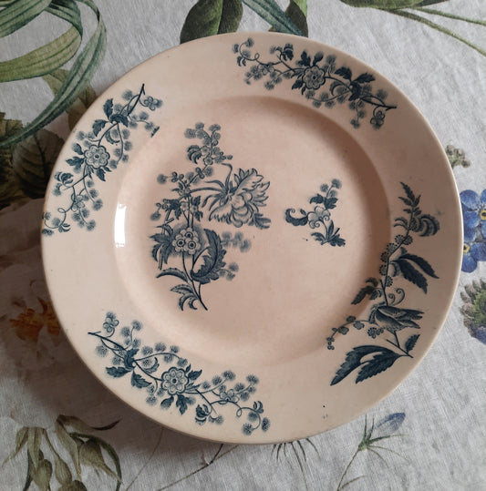 Plat rond – modèle YCHO