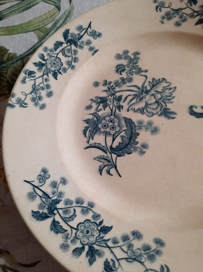 Plat rond – modèle YCHO