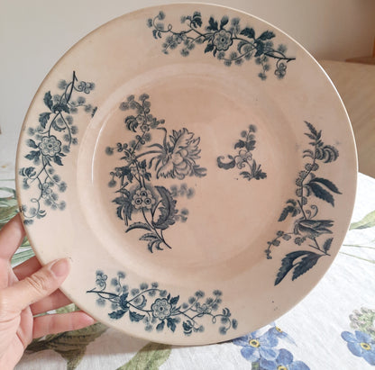 Plat rond – modèle YCHO