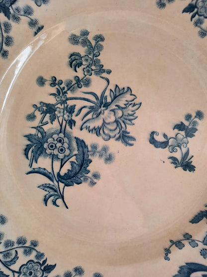 Plat rond – modèle YCHO