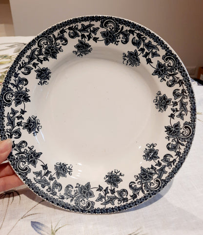 Lot de 6 assiettes creuses St Amand