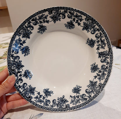 Lot de 6 assiettes creuses St Amand