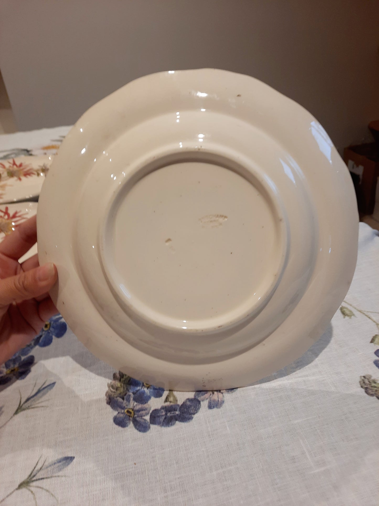 Lot de 4 assiettes creuses en Terre de Fer