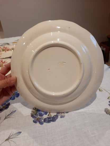 Lot de 4 assiettes creuses en Terre de Fer