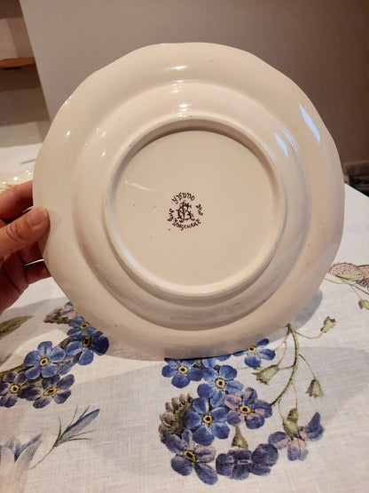 Lot de 4 assiettes creuses en Terre de Fer