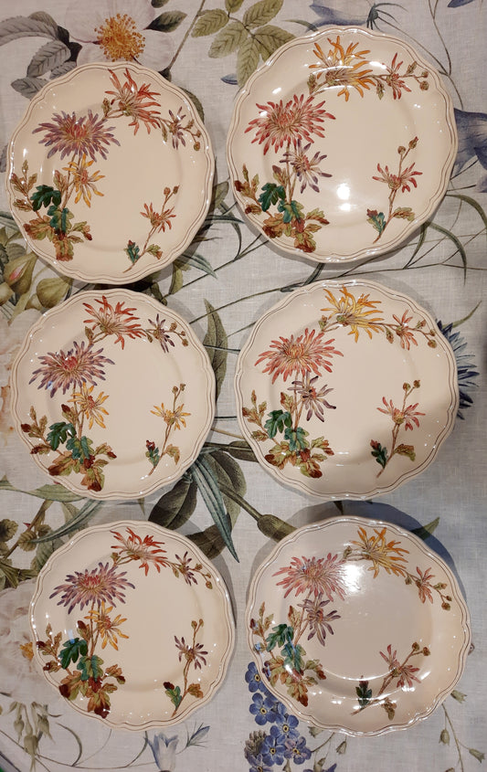 Lot de 6 assiettes plates en Terre de Fer