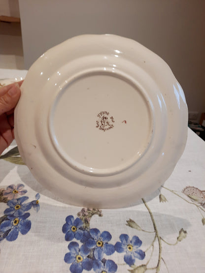 Lot de 6 assiettes plates en Terre de Fer