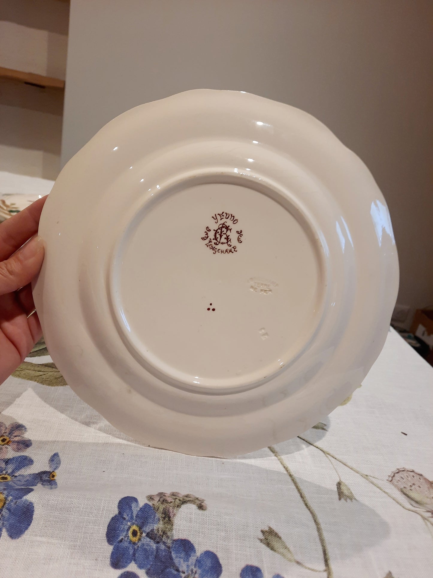 Lot de 6 assiettes plates en Terre de Fer