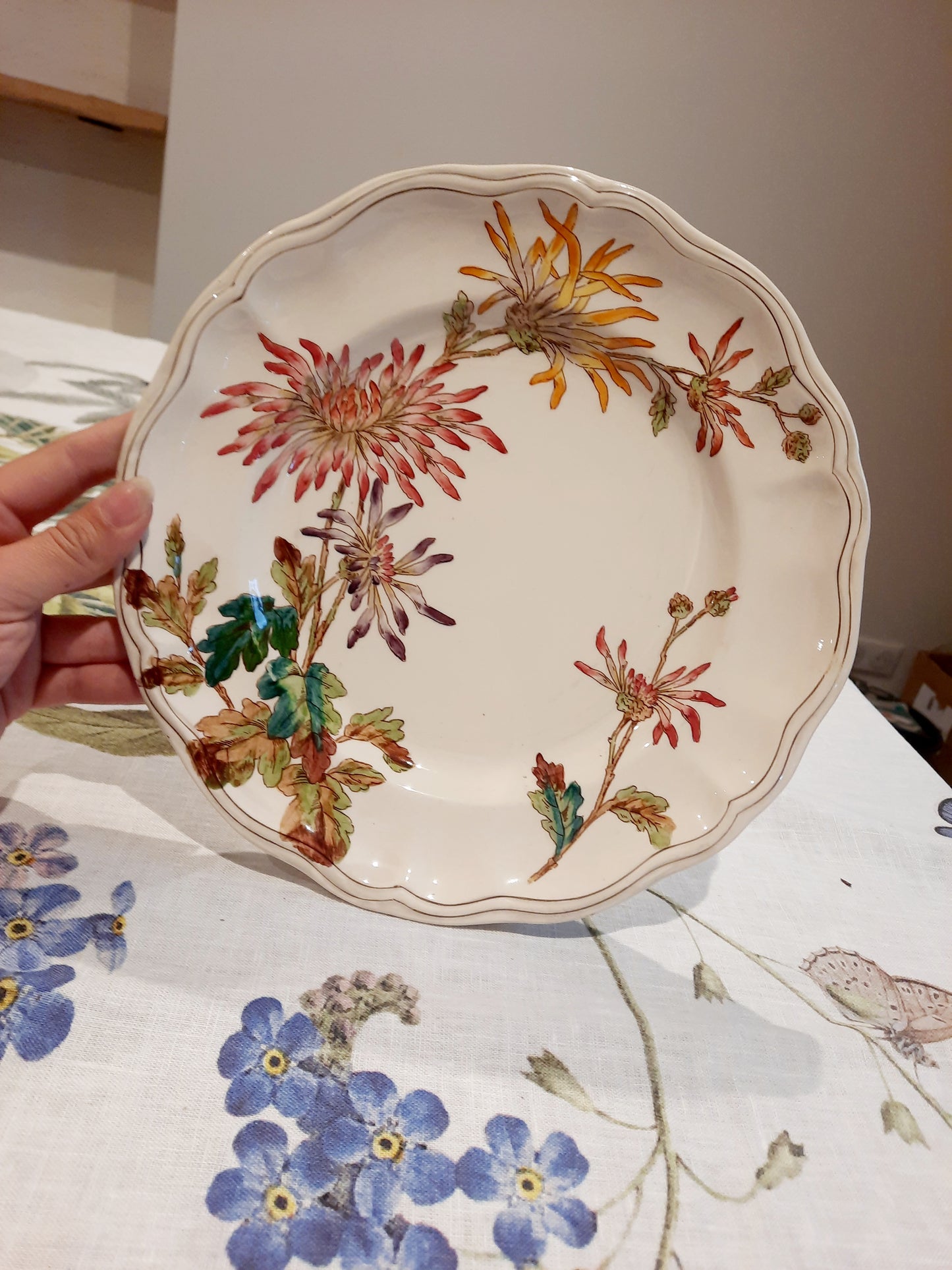 Lot de 6 assiettes plates en Terre de Fer