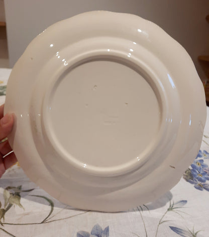 6 assiettes plates Longchamp