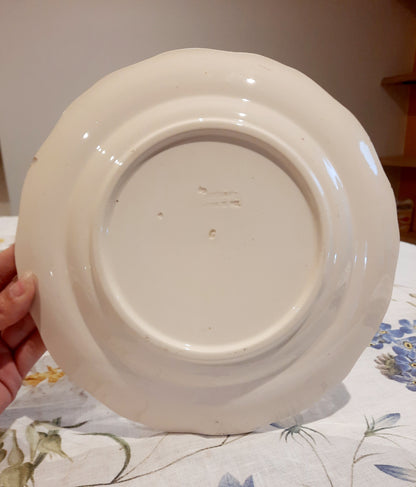 8 assiettes plates Longchamp
