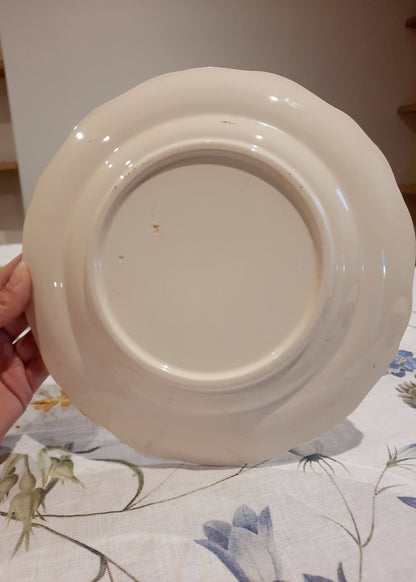 8 assiettes plates Longchamp