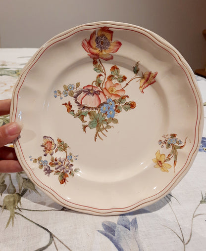 6 assiettes à dessert terre de fer