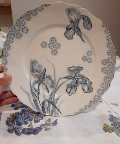Lot de 6 assiettes plates – H. Boulanger Terre de Fer