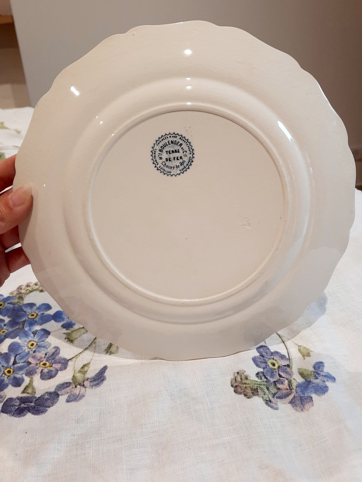Lot de 6 assiettes plates – H. Boulanger Terre de Fer