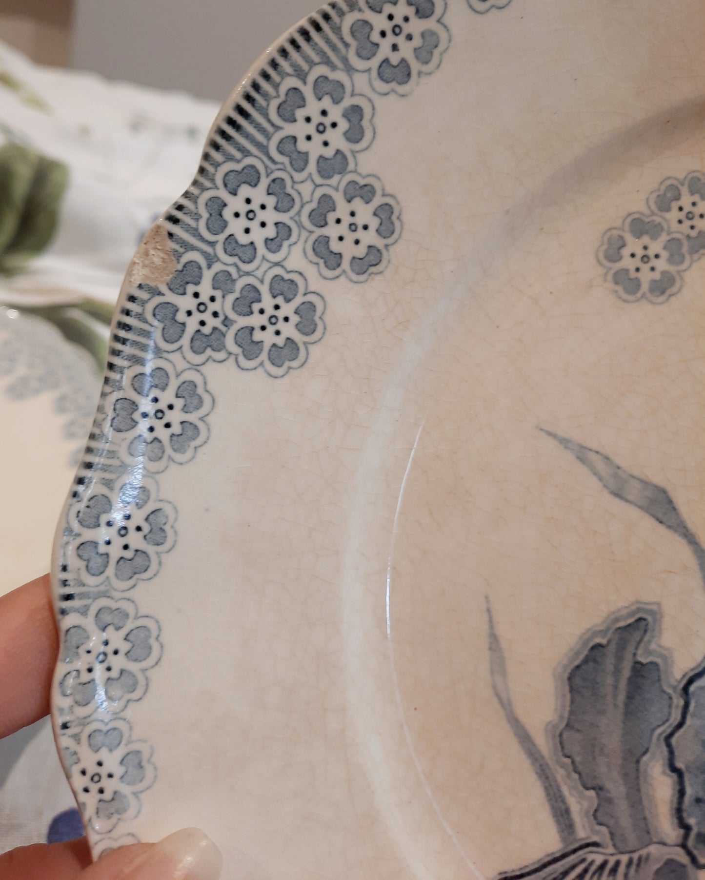 Lot de 6 assiettes plates – H. Boulanger Terre de Fer