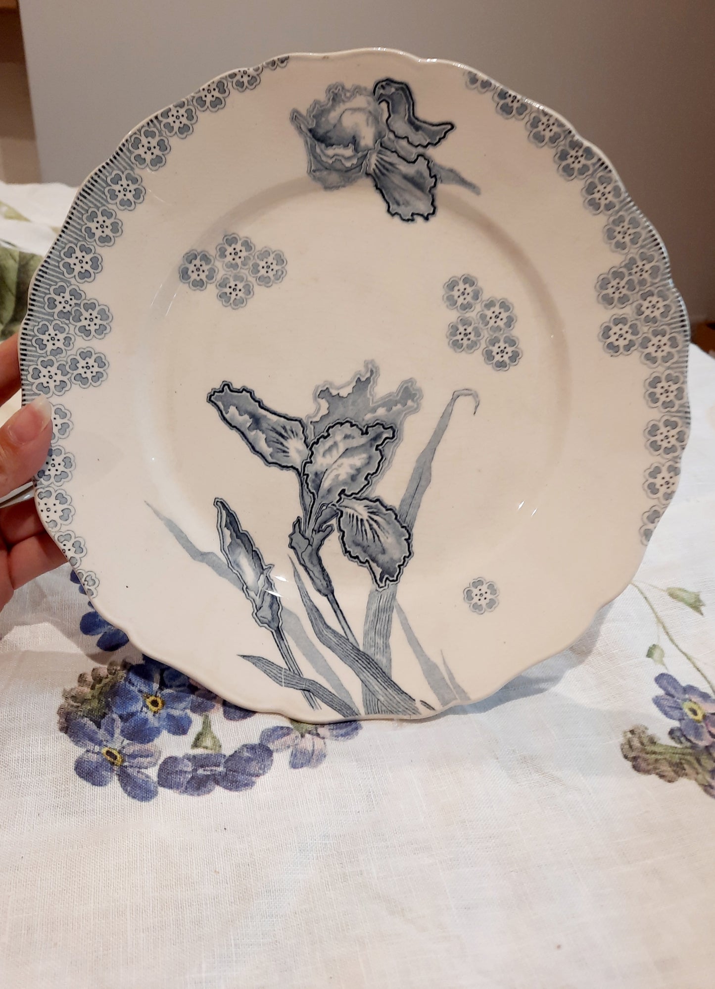 Lot de 6 assiettes plates – H. Boulanger Terre de Fer