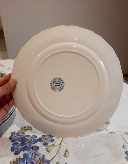 Lot de 6 assiettes plates – H. Boulanger Terre de Fer