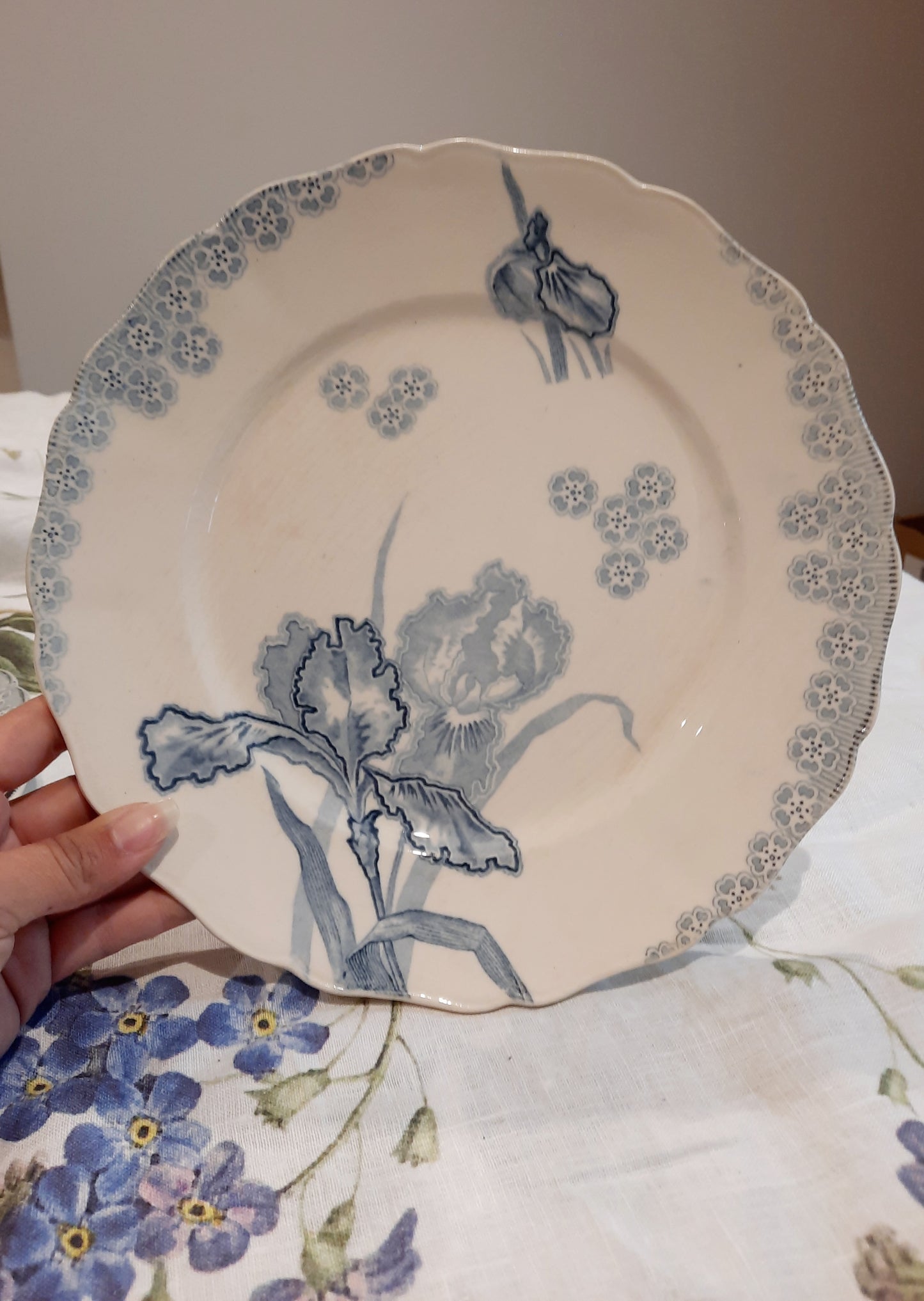 Lot de 6 assiettes plates – H. Boulanger Terre de Fer