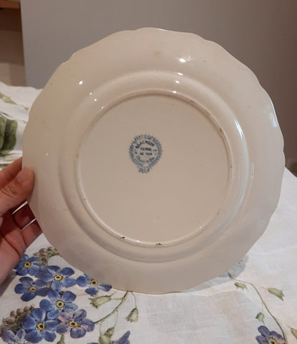 Lot de 6 assiettes plates – H. Boulanger Terre de Fer