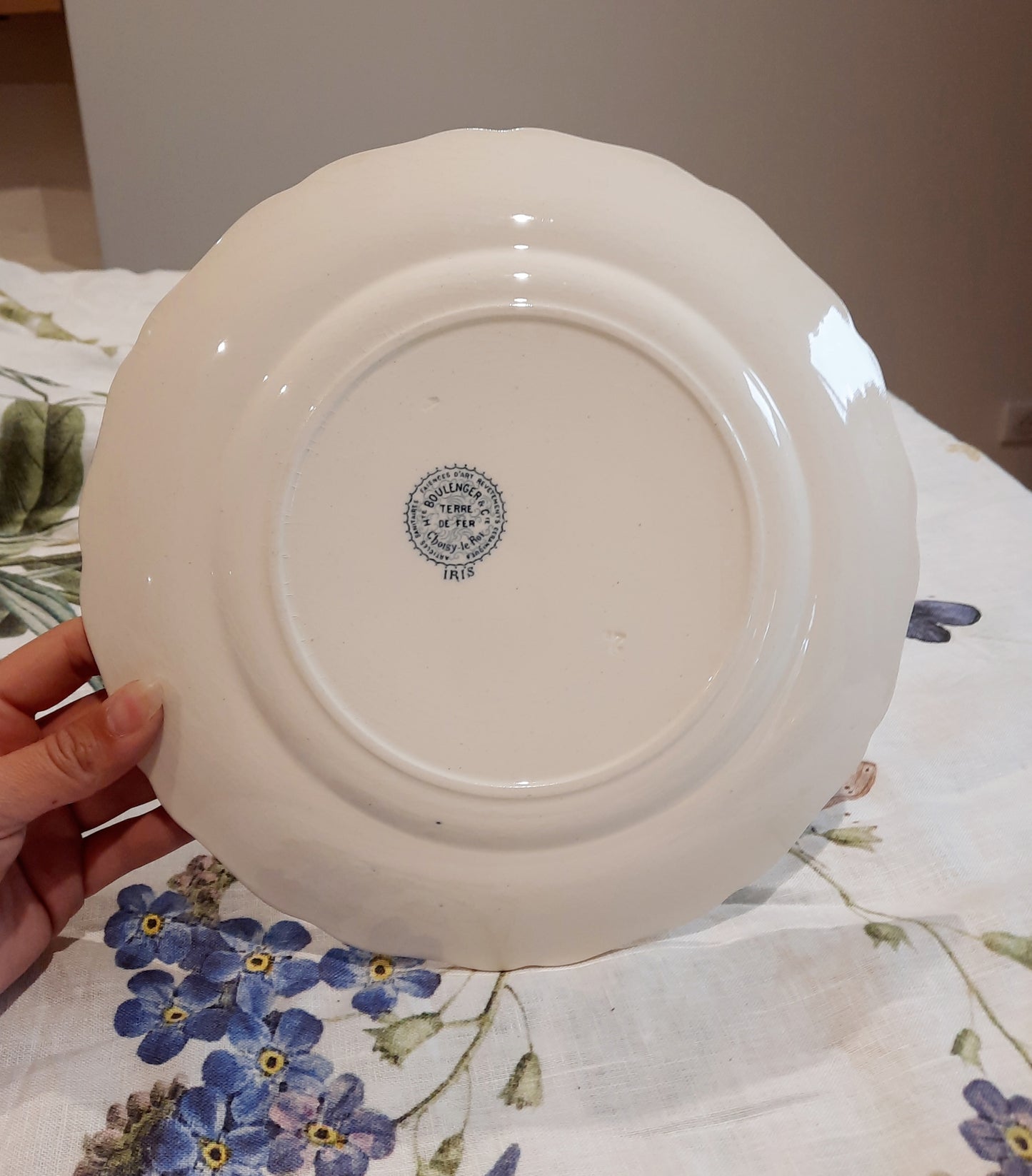 Lot de 6 assiettes plates – H. Boulanger Terre de Fer