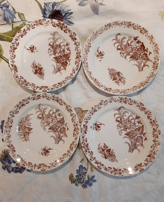 Lot de 4 assiettes à dessert