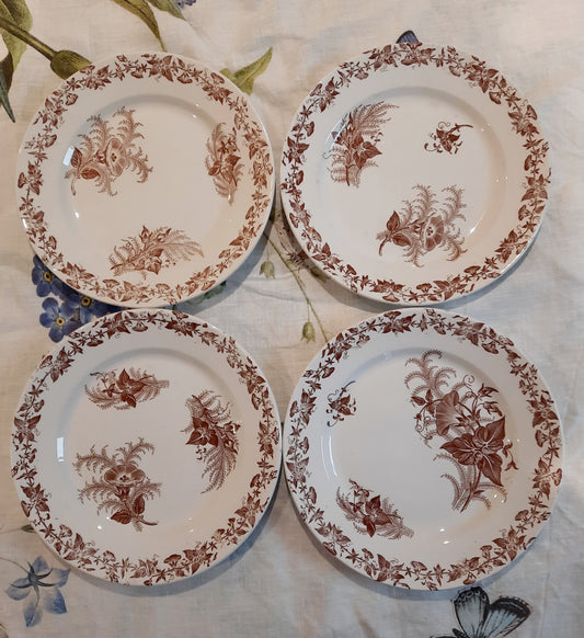 Lot de 4 assiettes à dessert (2)