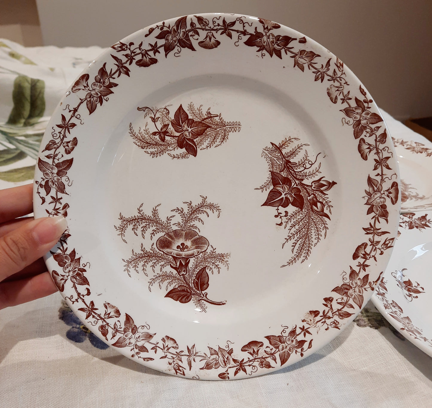 Lot de 4 assiettes à dessert (2)