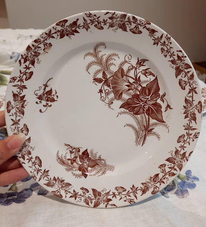 Lot de 4 assiettes à dessert (2)
