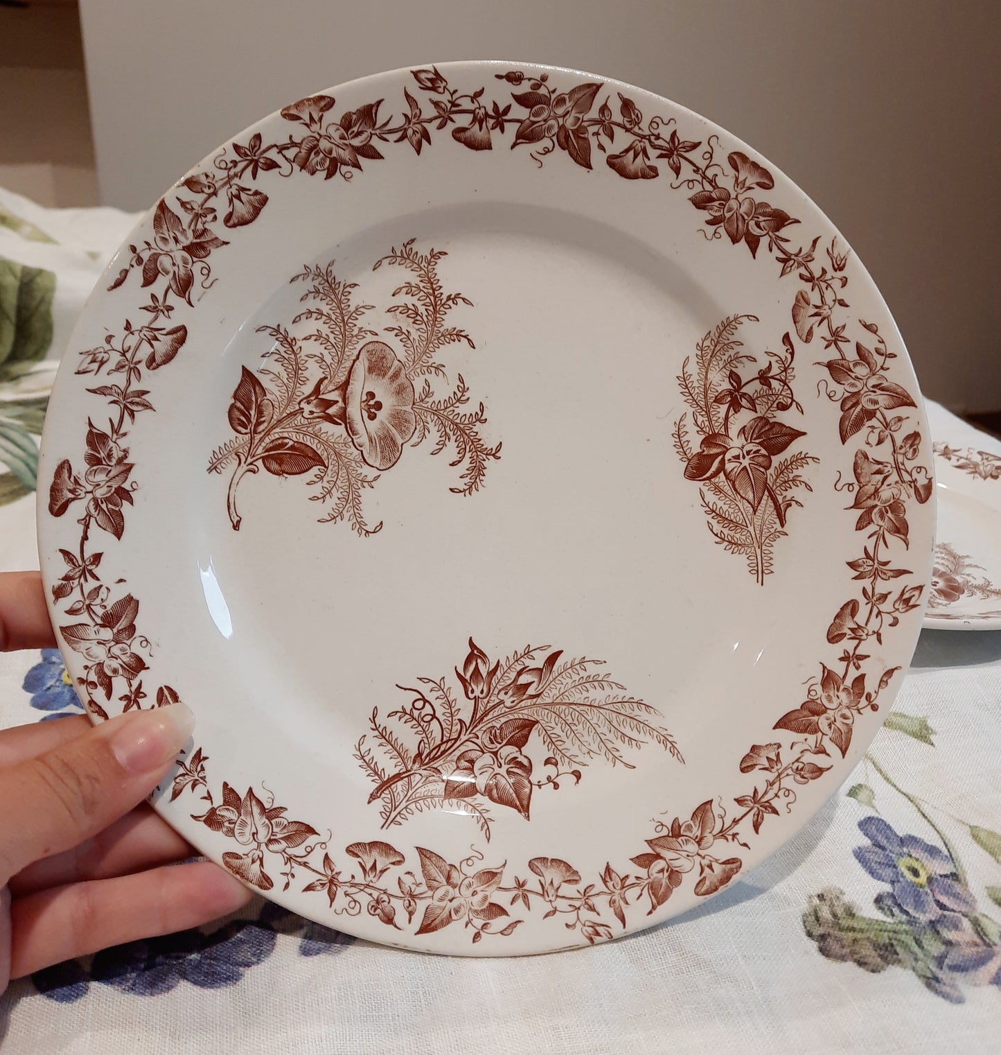 Lot de 4 assiettes à dessert (2)