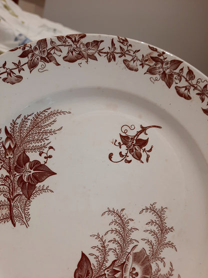 Lot de 4 assiettes à dessert (2)
