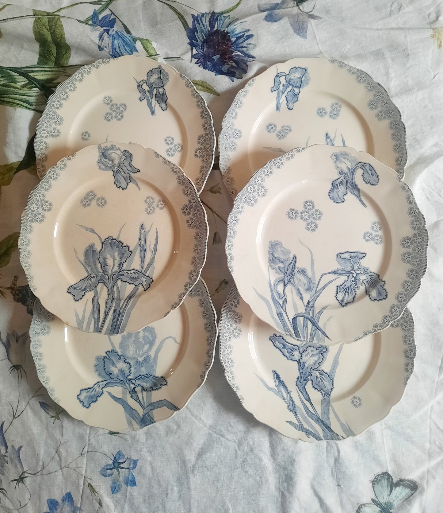 Lot de 6 assiettes plates – H. Boulanger Terre de Fer