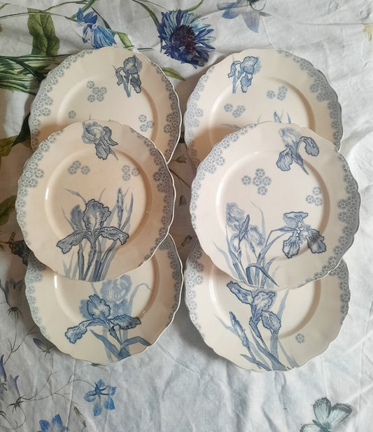 Lot de 6 assiettes plates – H. Boulanger Terre de Fer