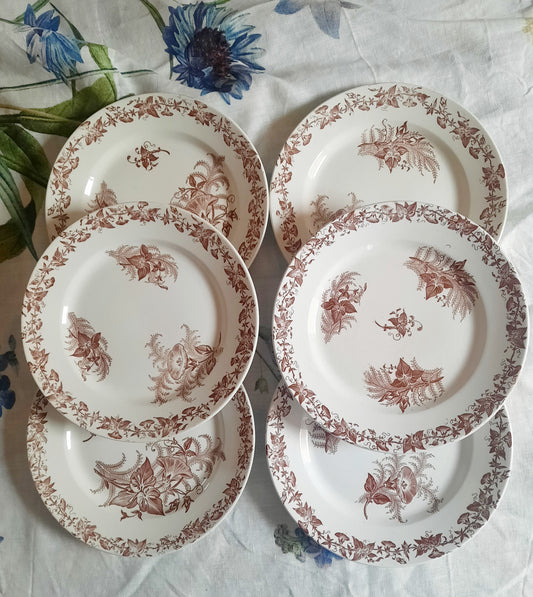 Lot de 6 assiettes à dessert
