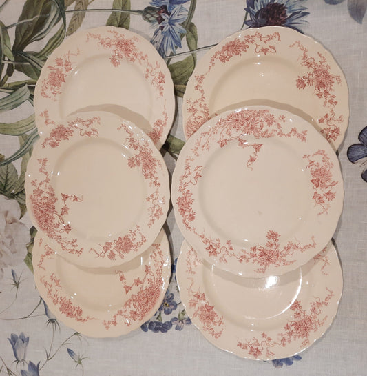6 assiettes plates (1)
