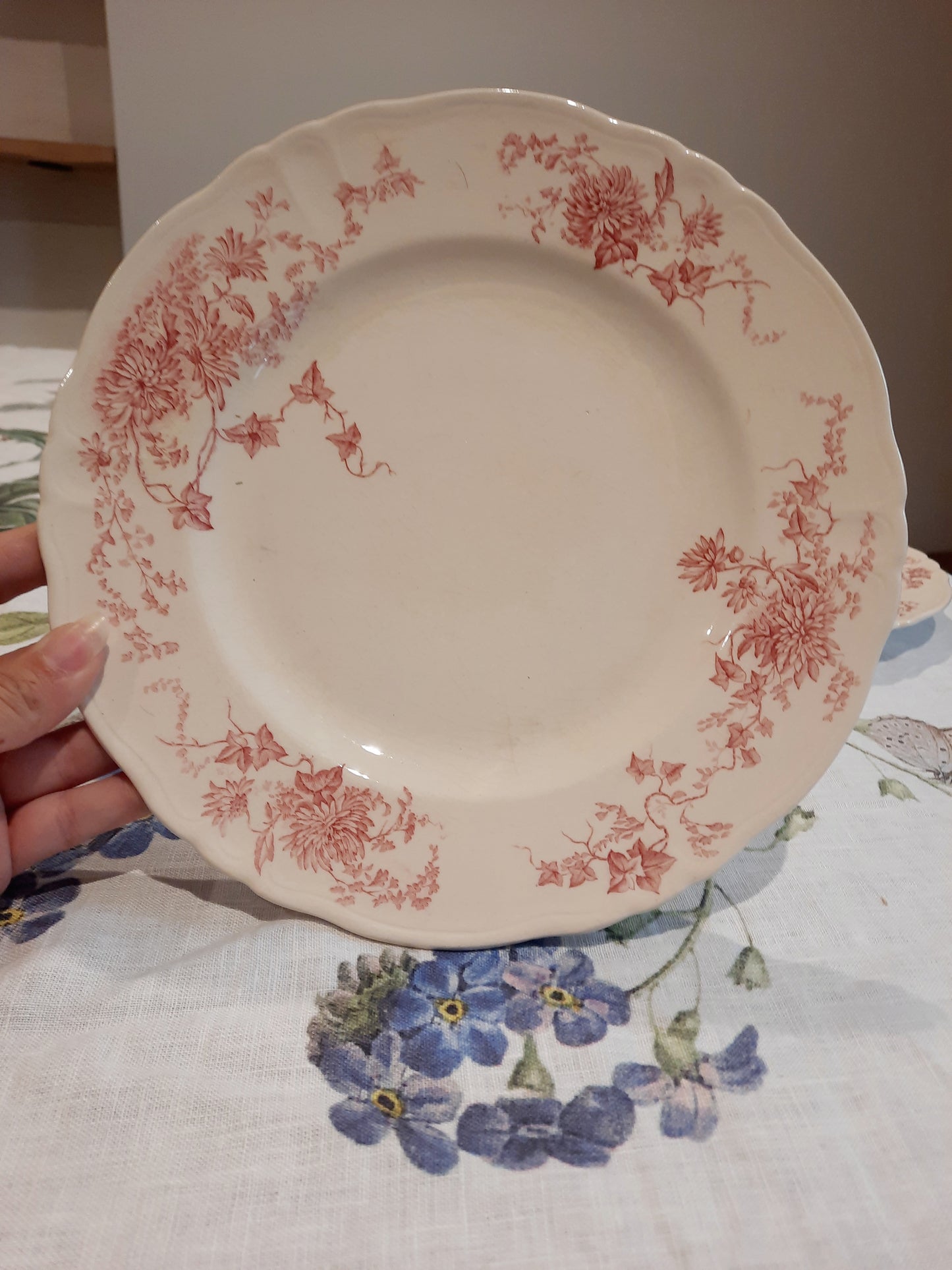 6 assiettes plates (1)
